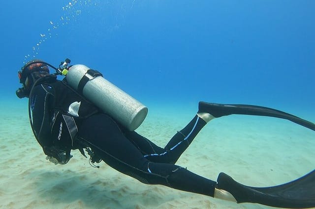 SCUBA dive off of the beautiful island of Oahu! 